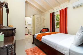 Areca 3B Oasis Drax Hall lot 221