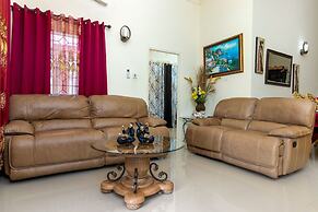 Areca 3B Oasis Drax Hall lot 221