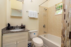 Areca 3B Oasis Drax Hall lot 221