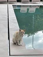 Casa Velha - Santiago Family House