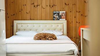 Gapyeong Haneuldari pet Pension