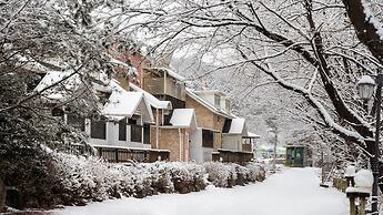 Gapyeong Haneuldari pet Pension