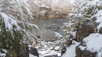 Gapyeong Haneuldari pet Pension