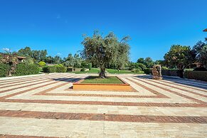 Trilo Super Standard 205 Ginepro