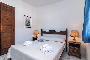 Trilo Super Standard 205 Ginepro