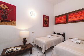 Trilo Super Standard 205 Ginepro