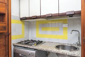 Trilo Super Standard 205 Ginepro