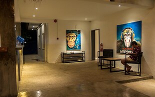 Wild Monkeys Hostel