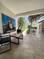 Wild Monkeys Hostel