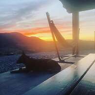 Azienda Agricola Saint Hubert