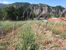 Azienda Agricola Saint Hubert