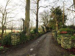 The Abraham