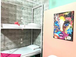 la viduka Hostel s.a.s