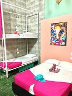 la viduka Hostel s.a.s