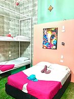 la viduka Hostel s.a.s