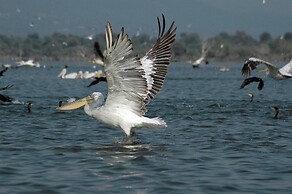 Iro Residential Complex