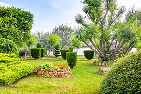 Complex Tismana All Inclusive