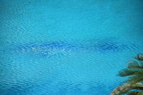 Complex Modern Mamaia All Inclusive