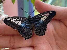 Sunflower World Hotel