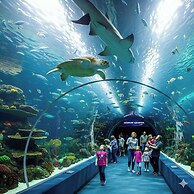 Walton Arkside Oasis