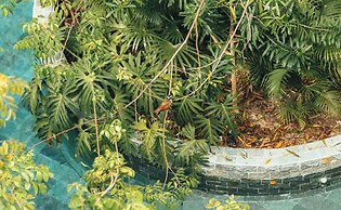 Penthouse Premium Luum Zama Tulum