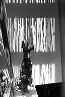 Penthouse Premium Luum Zama Tulum