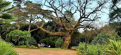 Al castello da Nancy e il piccolo principe