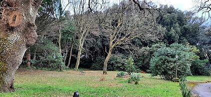 Al castello da Nancy e il piccolo principe