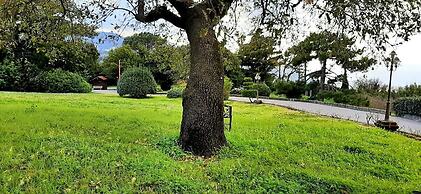 Al castello da Nancy e il piccolo principe