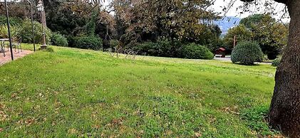 Al castello da Nancy e il piccolo principe