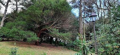 Al castello da Nancy e il piccolo principe