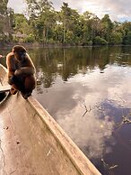 Eywa Lodge Amazonas: Luxurious Eco Escape – All-Inclusive Adventure in