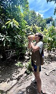 Eywa Lodge Amazonas: Luxurious Eco Escape – All-Inclusive Adventure in