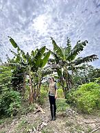 Eywa Lodge Amazonas: Luxurious Eco Escape – All-Inclusive Adventure in