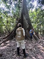 Eywa Lodge Amazonas: Luxurious Eco Escape – All-Inclusive Adventure in