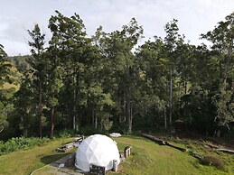 FOREST DOMES