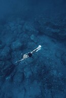 Howzit Hostels Hawaii