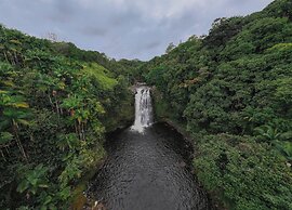 Howzit Hostels Hawaii