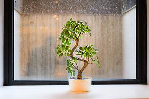 Pontcanna Jewel Cardiff city centre