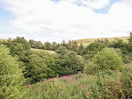Cuckoo at Wild Valley Huts