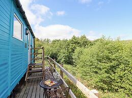 Cuckoo at Wild Valley Huts