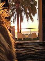 HOSTAL LUXURY NIT I DIA