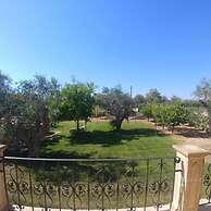 MASSERIA LA MAESTA' 1511