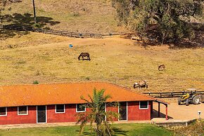 Fazenda Realeza