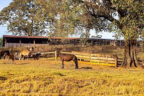 Fazenda Realeza