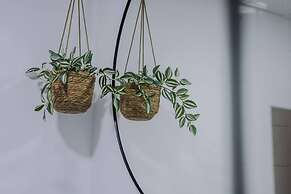 Host Stay Bands Warehouse IV