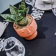 Host Apartments Duke Street Abode