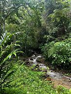 HADCO Experiences at AWNC