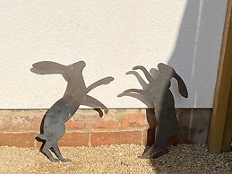 The Hare