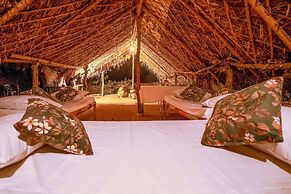 The Palpur Fort A Kuno Wildlife Resort